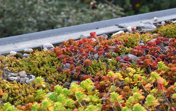 the cost of Langshaw green roof installation